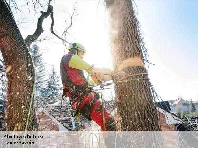Abattage d'arbres Haute-Savoie 
