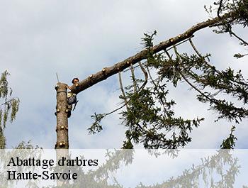 Abattage d'arbres Haute-Savoie