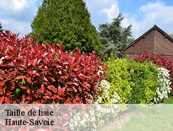Taille de haie Haute-Savoie