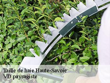 Taille de haie Haute-Savoie