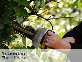 Taille de haie