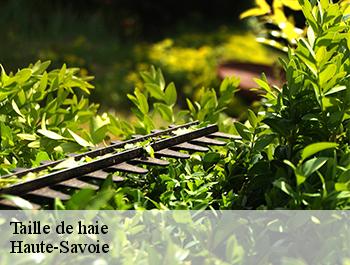 Taille de haie Haute-Savoie