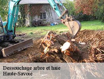 Dessouchage arbre et haie Haute-Savoie