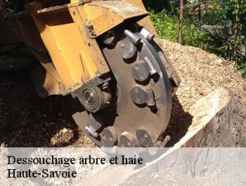 Dessouchage arbre et haie