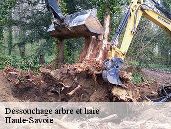 Dessouchage arbre et haie Haute-Savoie