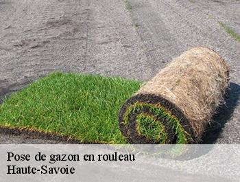 Pose de gazon en rouleau Haute-Savoie 