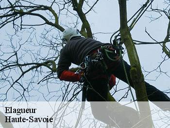 Elagueur Haute-Savoie 