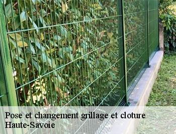 Pose et changement grillage et cloture