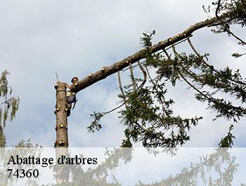 Abattage d'arbres 74360