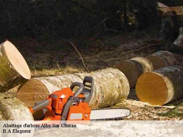 Abattage d'arbres  alby-sur-cheran-74540 B.A Elagueur