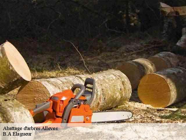 Abattage d'arbres  alleves-74540 B.A Elagueur