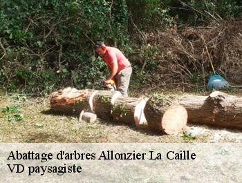 Abattage d'arbres allonzier-la-caille-74350 VD paysagiste