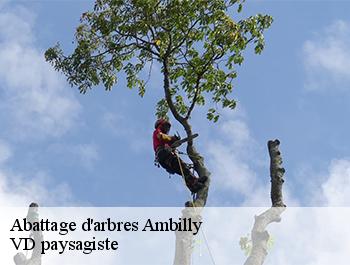 Abattage d'arbres 74100