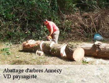 Abattage d'arbres  annecy-74000 VD paysagiste