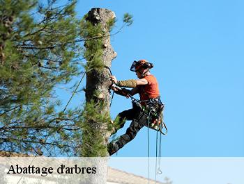Abattage d'arbres