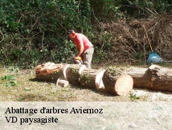 Abattage d'arbres  aviernoz-74570 VD paysagiste
