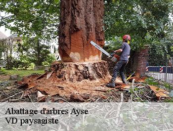 Abattage d'arbres  74130