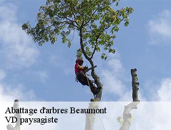 Abattage d'arbres  74160