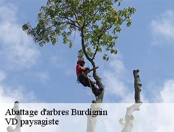 Abattage d'arbres  74420