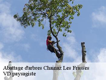 Abattage d'arbres 74540