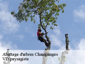Abattage d'arbres  74500