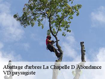 Abattage d'arbres 74360