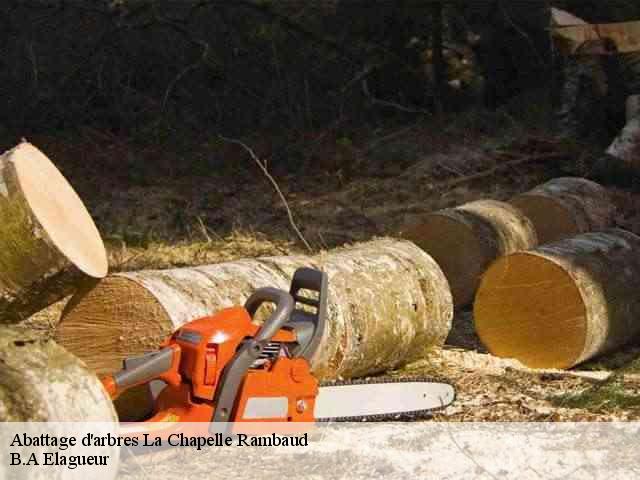 Abattage d'arbres  la-chapelle-rambaud-74800 B.A Elagueur