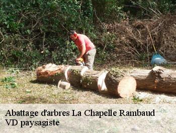 Abattage d'arbres  la-chapelle-rambaud-74800 VD paysagiste