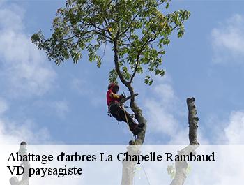 Abattage d'arbres  74800