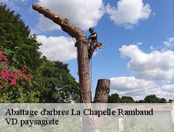Abattage d'arbres
