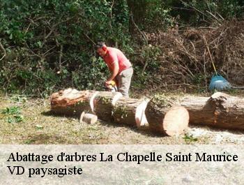 Abattage d'arbres  la-chapelle-saint-maurice-74410 VD paysagiste