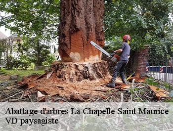 Abattage d'arbres  74410