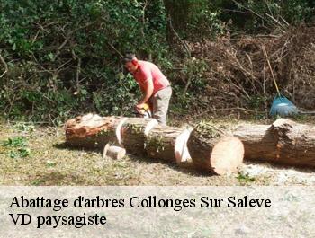 Abattage d'arbres collonges-sur-saleve-74160 VD paysagiste