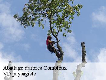 Abattage d'arbres  74920