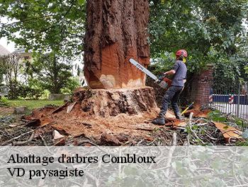 Abattage d'arbres  74920