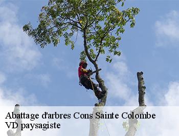 Abattage d'arbres  74210