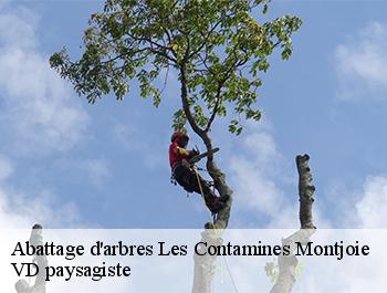 Abattage d'arbres  74170