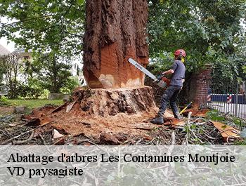 Abattage d'arbres  74170