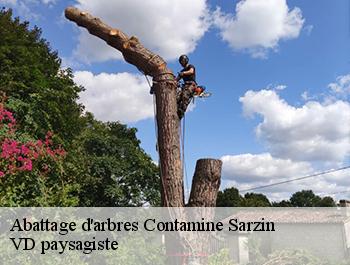 Abattage d'arbres