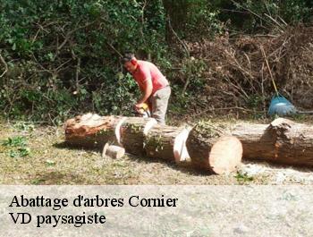 Abattage d'arbres  cornier-74800 VD paysagiste