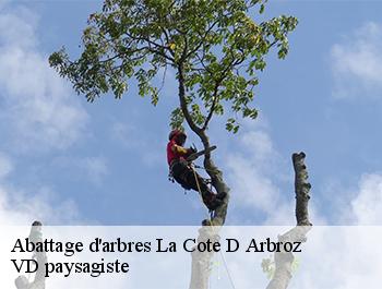Abattage d'arbres 74110