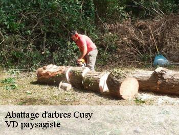 Abattage d'arbres  cusy-74540 VD paysagiste