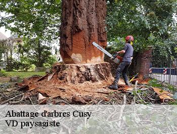 Abattage d'arbres  74540