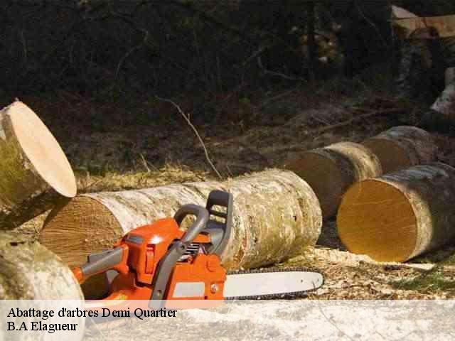 Abattage d'arbres  demi-quartier-74120 B.A Elagueur