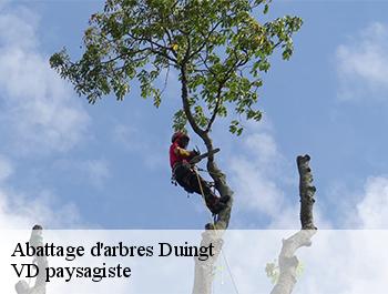 Abattage d'arbres  74410
