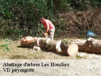 Abattage d'arbres  les-houches-74310 VD paysagiste