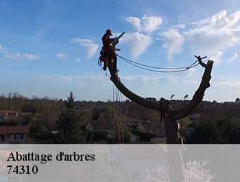 Abattage d'arbres  74310