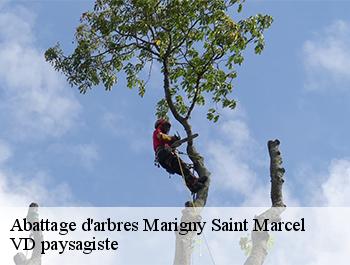 Abattage d'arbres  74150
