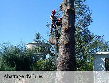 Abattage d'arbres  74200