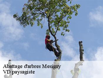 Abattage d'arbres  74330